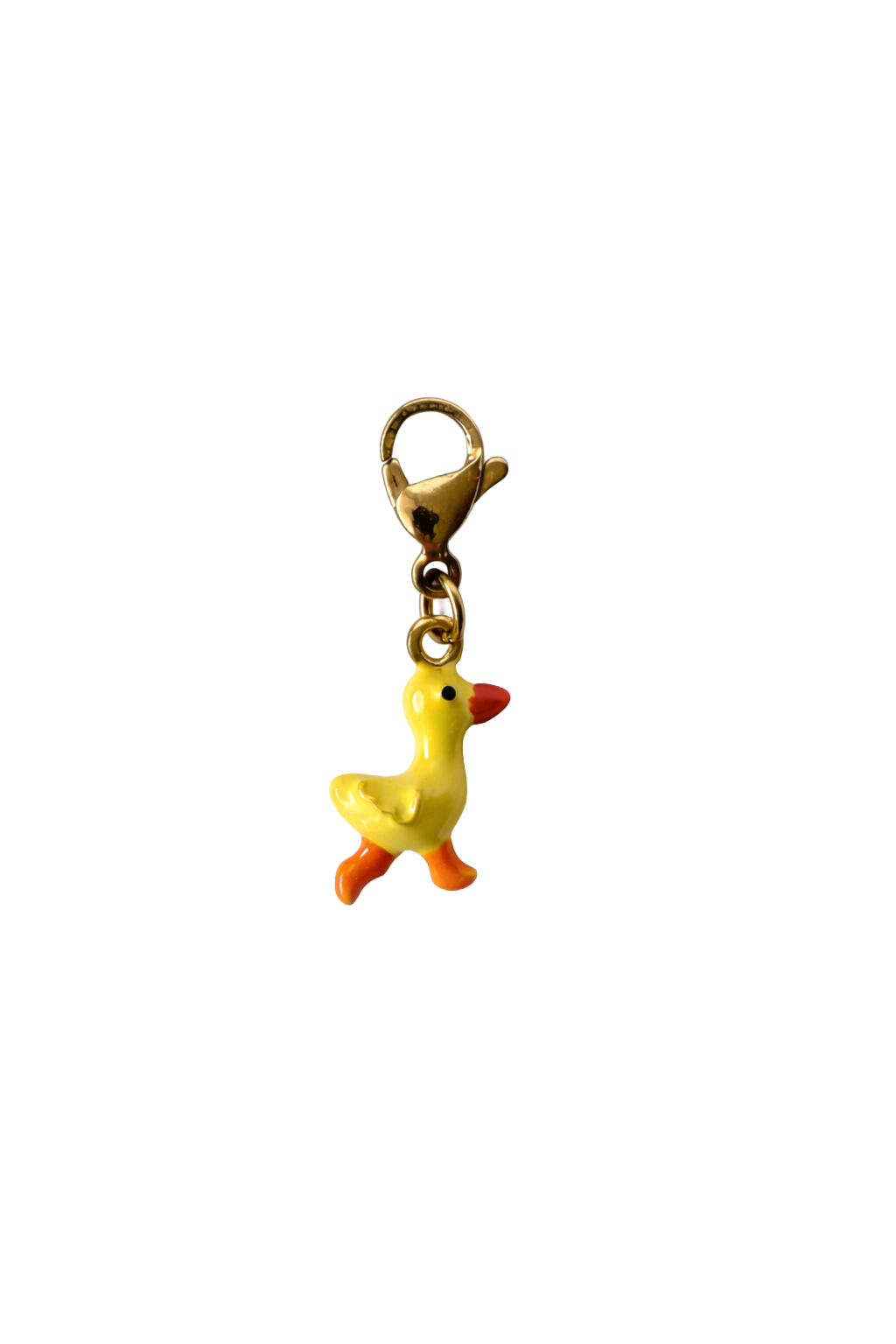 DUCK CHARM