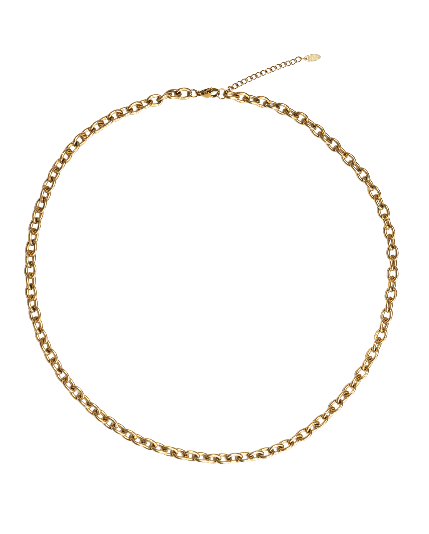 long neckchain gold stainless steel
