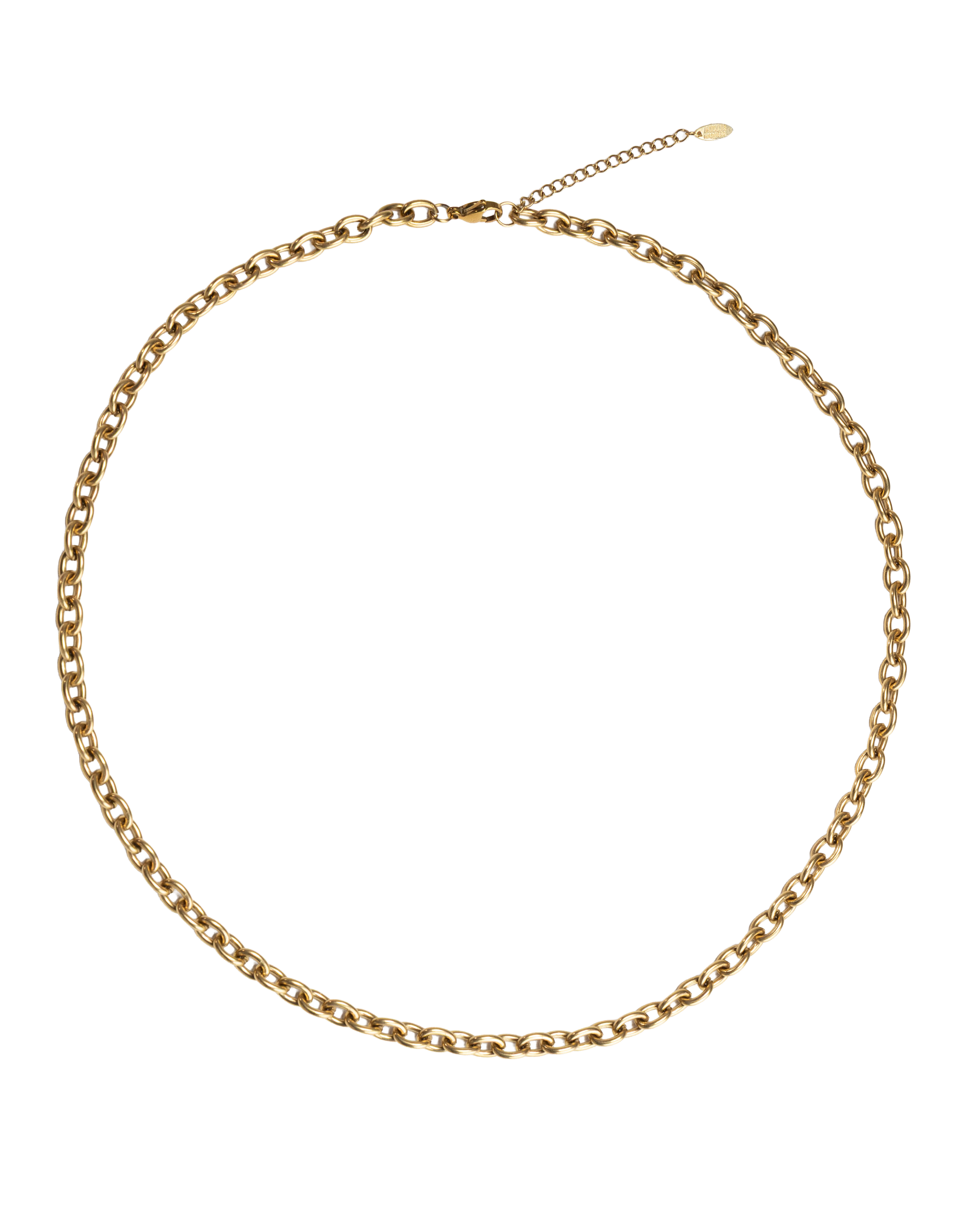 long neckchain gold stainless steel