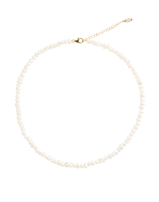 Pearl necklace on a white background