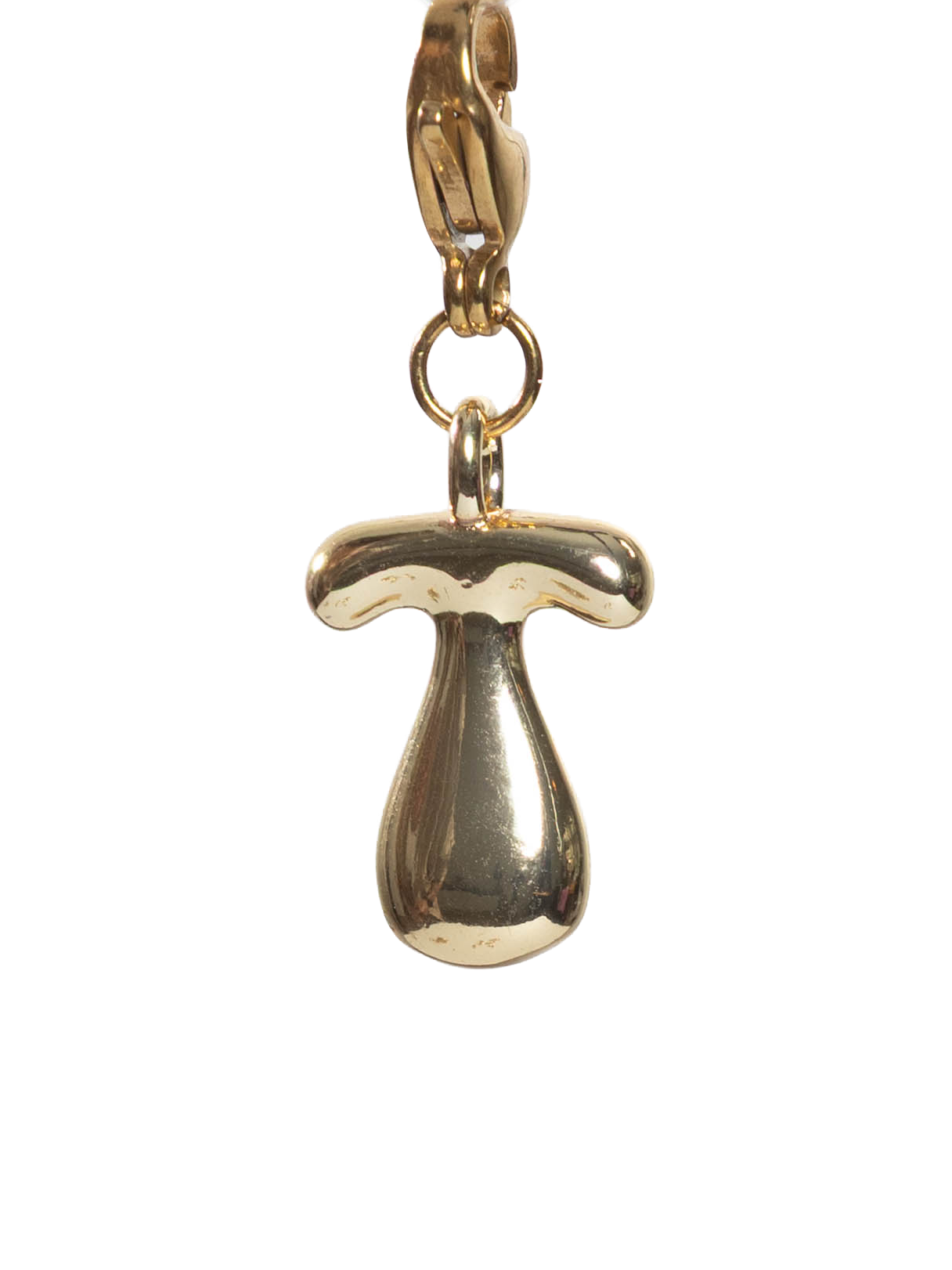 Gold plated letter T charm stainless steel clasp on a white background
