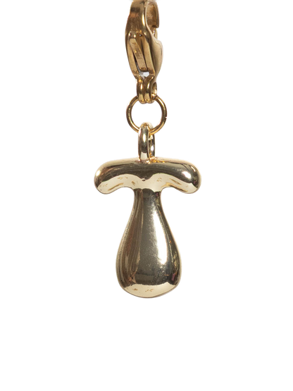 Gold plated letter T charm stainless steel clasp on a white background